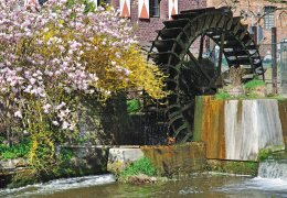 © travelpeter-fotolia.com