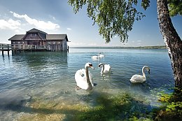 © Jenny Sturm - fotolia.com