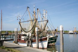 © Kurverwaltung Norden-Norddeich