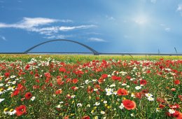 © Gabriele Rohde-fotolia.com