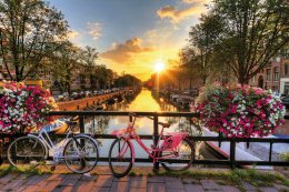 © dennisvdwater - stock.adobe.com