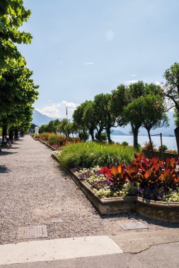 © Gabriele Bignoli-fotolia.com