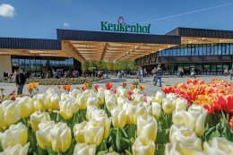 © Keukenhof