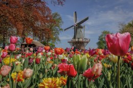 © Keukenhof 