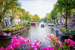 &copy; CPN - stock.adobe.com