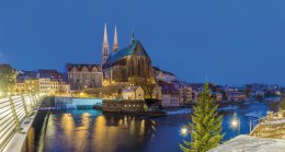 © albertus.penguin-fotolia.com