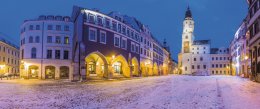 © albertus.penguin-fotolia.com