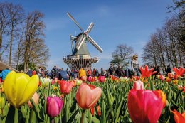 © Keukenhof Holland
