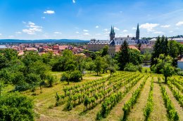 © Sina Ettmer - stock.adobe.com