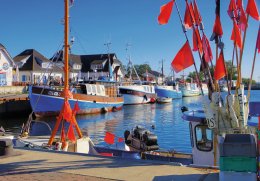 © LianeM - stock.adobe.com