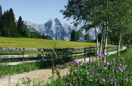 &copy; Olympiaregion Seefeld