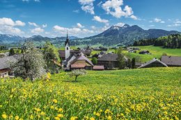 © Michael Meusburger  - Bregenzerwald Tourismus