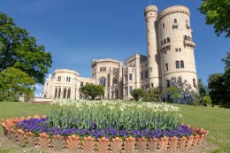 © PMSG SPSG André Stiebitz