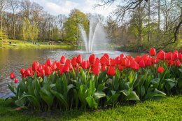 © Keukenhof Holland