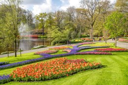 © Keukenhof Holland