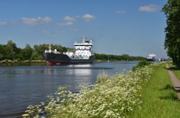 © dieter76 - stock.adobe.com