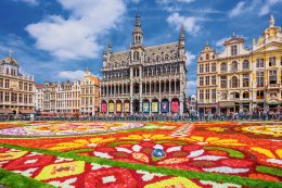 © SCStock - stock.adobe.com