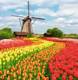 © neirfy - stock.adobe.com