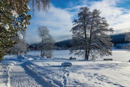 © Hochschwarzwald Tourismus GmbH