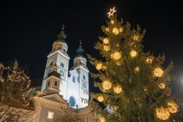 &copy; fabrus - stock.adobe.com