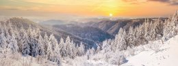 © Sina Ettmer - stock.adobe.com