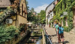 © riebevonsehl - stock.adobe.com