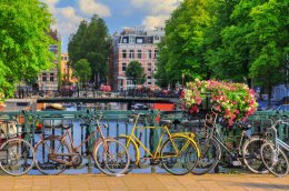 © dennisvdwater - stock.adobe.com