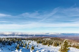 &copy; Oliver Hlavaty - stock.adobe.com