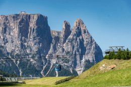 © MarkusBraun - stock.adobe.com