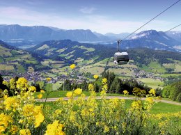 © tirolerland - stock.adobe.com