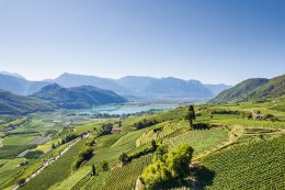 © dimizu - stock.adobe.com