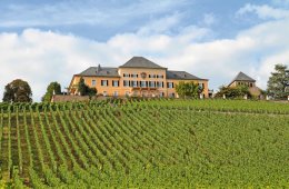 © Kara - stock.adobe.com