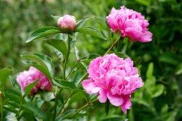 © Dariusz - stock.adobe.com