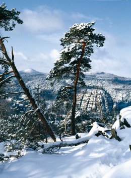 © TGG Naturpark Zittauer Gebirge/Oberlausitz