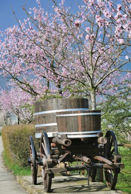 © travelpeter - stock.adobe.com