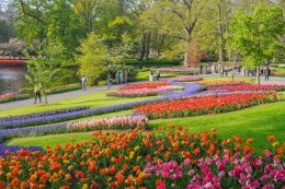 © Keukenhof Holland