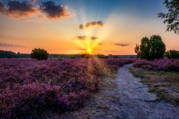 © heideblende - stock.adobe.com