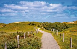 © ON-Photography - stock.adobe.com