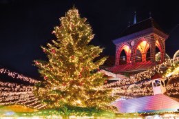 &copy; acnaleksy - stock.adobe.com