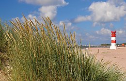 © HandmadePictures - stock.adobe.com