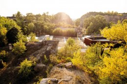 © Renee del Missier