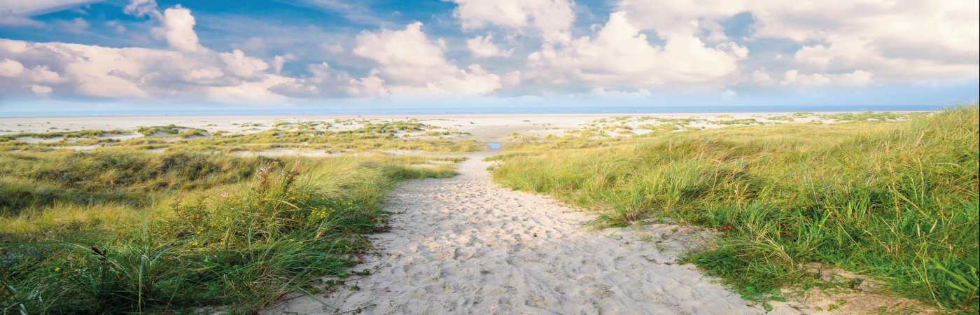 Strand auf Langeoog: endlose Dünen, Meer, Entspannung