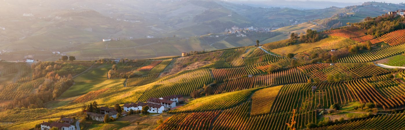 Blick über die Weinberge im Piemont