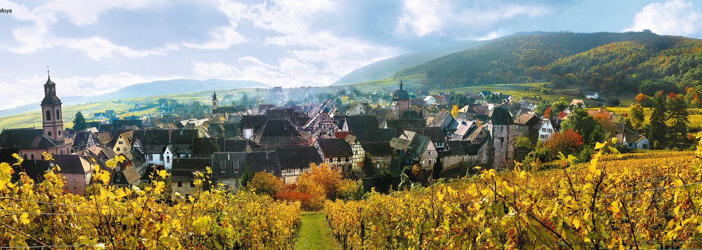 Herbstliche Landschaft Weinberge Panorama © CIVA/Moya