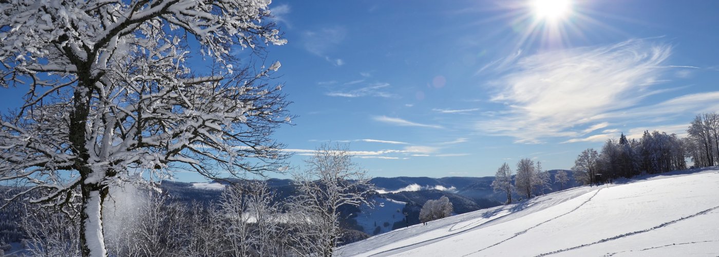 Todtnauberg © dd-stock.adobe.com