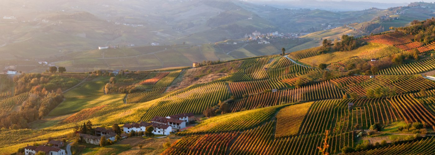 Blick über die Weinberge im Piemont © Giorgio Pulcini - stock.adobe.com
