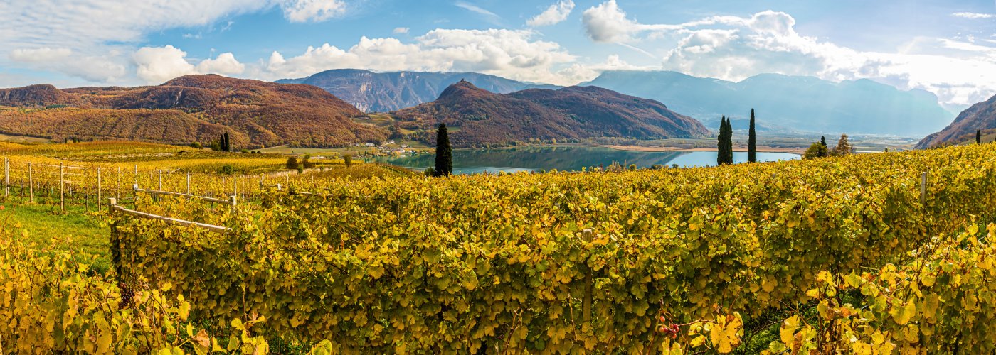 Herbstlandschaft am Kalterer See © LHJ PHOTO - stock.adobe.com