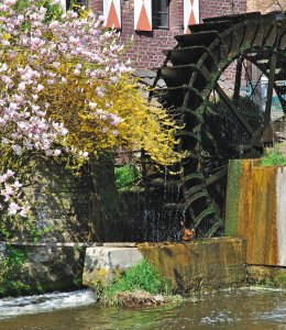 Frühling an der Brüggener Mühle © travelpeter-fotolia.com