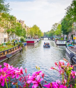 in Amsterdam © CPN - stock.adobe.com