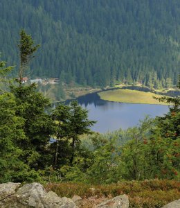 Kleiner Arbersee © pixabay.com/ernie